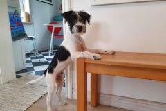 Anouk-am-Tisch