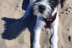 Anouk-im-Sand