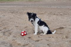 Anouk-mit-Ball