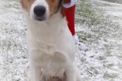 Barky von der Ruhrhalbinsel
