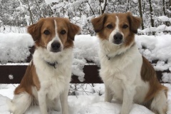 Beetje-vom-glatten-Kiesel-und-Bea-vom-Stindertal