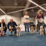 Gruppe Herbstsieger Ausstellung 2022
